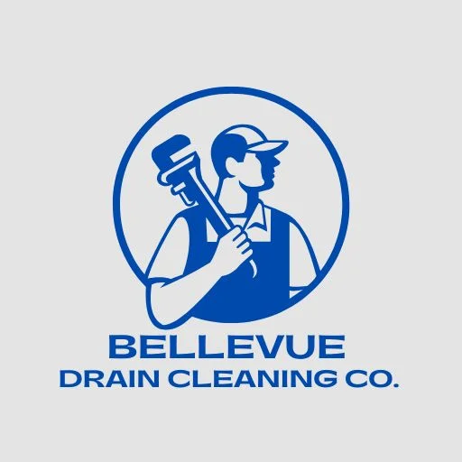 Bellevue Drain Cleaning  Company